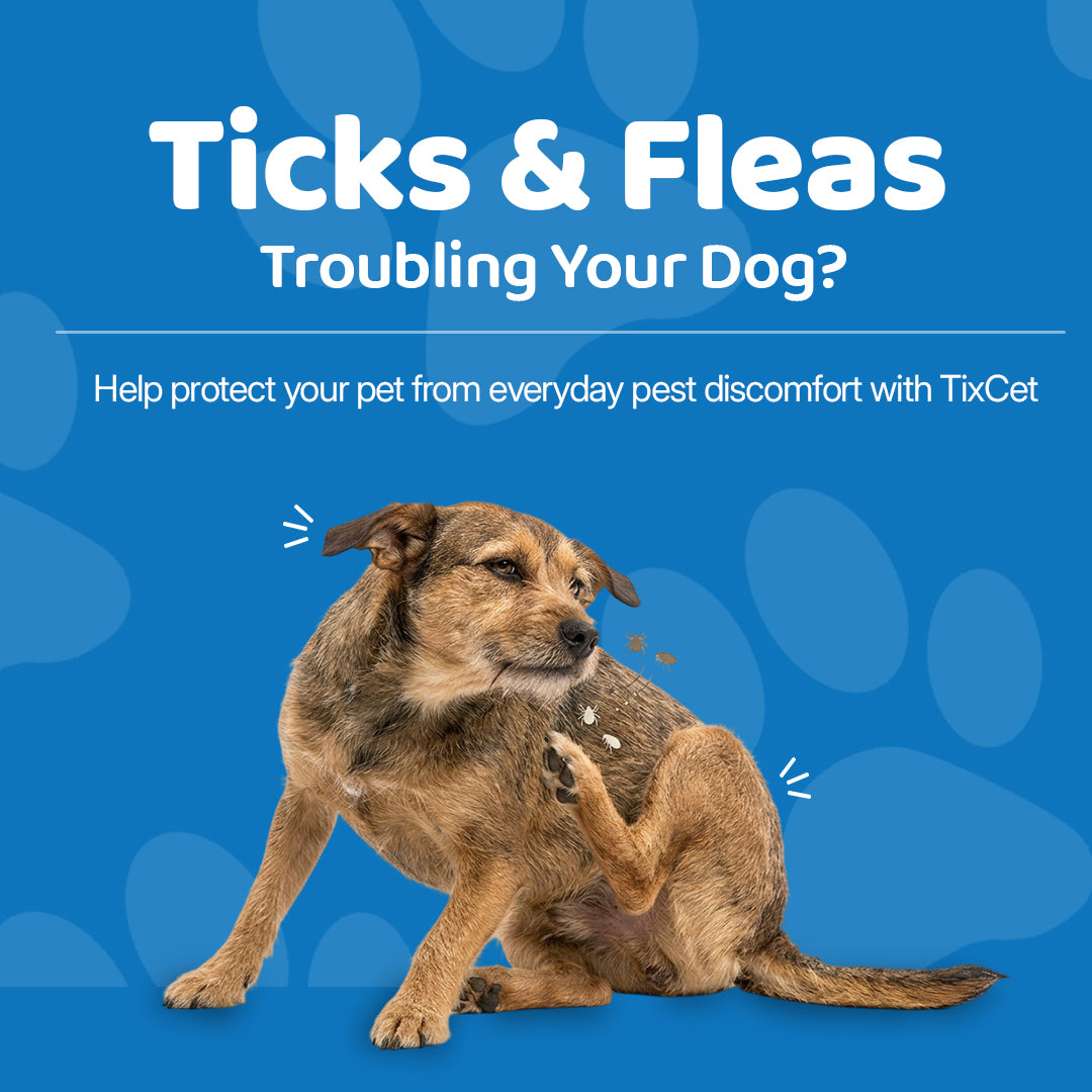 Tixcet | Natural Tick & Flea Powder for Dogs