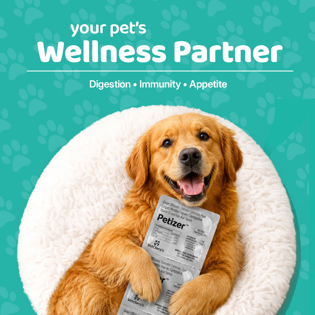 Petizer | Pet Nutraceutical Tablets | Digestive, Immunity & Appetite Support for Pets