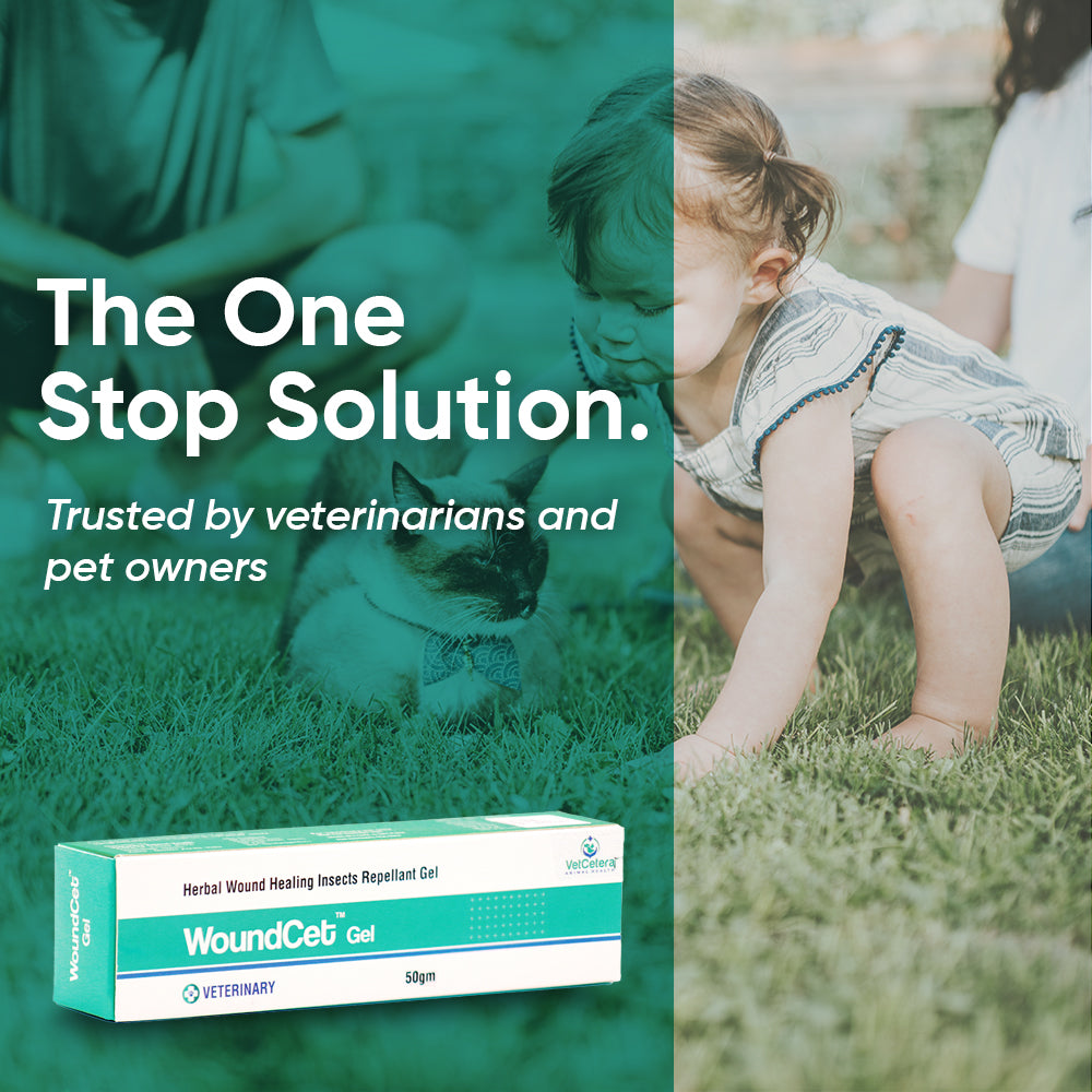 Woundcet Gel by VetCetera Health Care  | 50 Grams