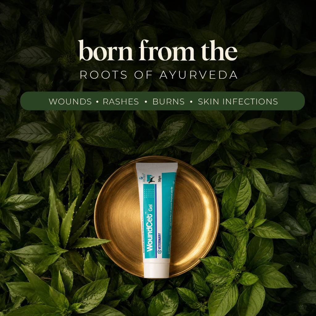 Woundcet | Ayurvedic Wound Healing Gel 50g | Pack of 2