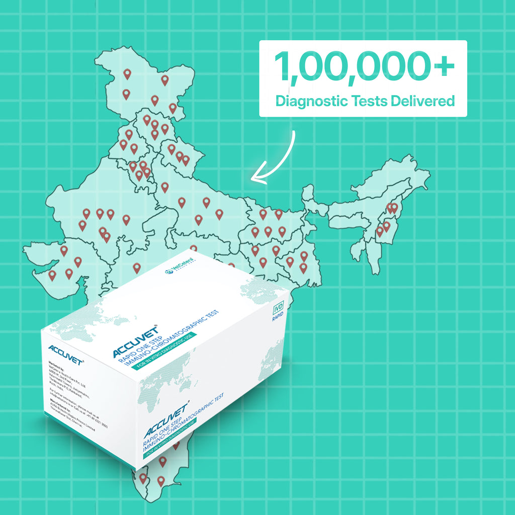 Canine Distemper Virus (CDV) Antigen Rapid Test | Accuvet CDV-Ag Kit