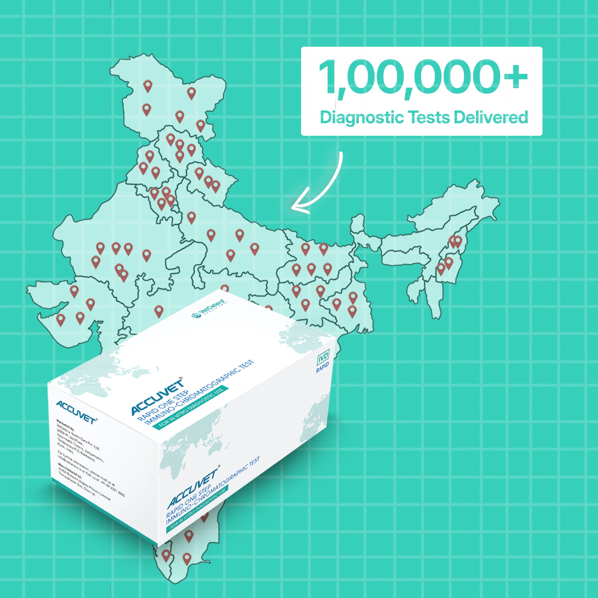 Canine Distemper Virus (CDV) Antigen Rapid Test | Accuvet CDV-Ag Kit