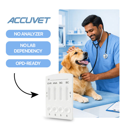 Accuvet | 4-Combo Tick Panel (Canine) | Pack of 2