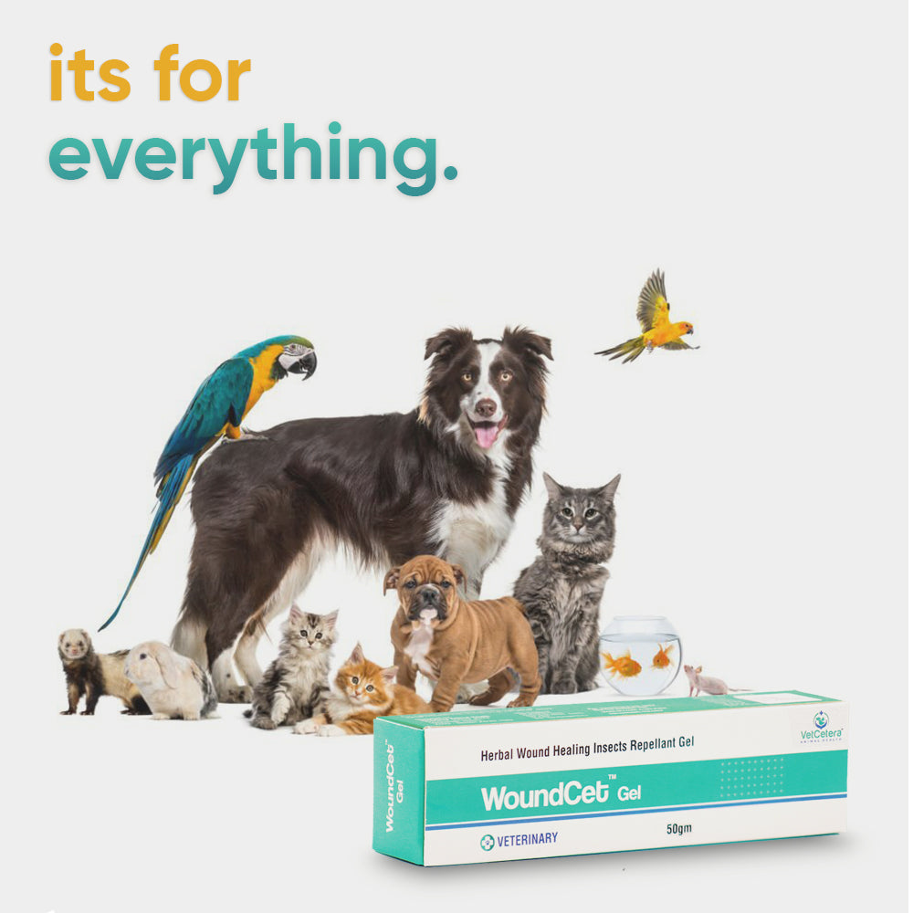 Woundcet Gel by VetCetera Health Care  | 50 Grams