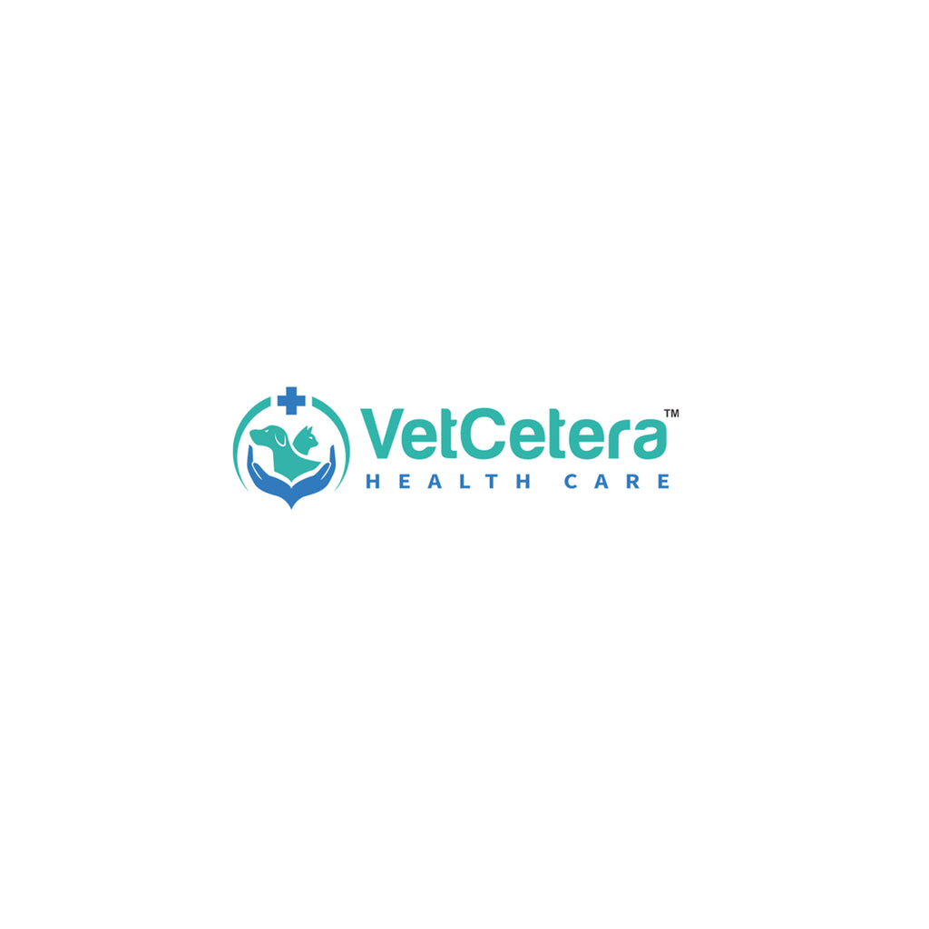 Canine Distemper Virus (CDV) Antigen Rapid Test | Accuvet CDV-Ag Kit