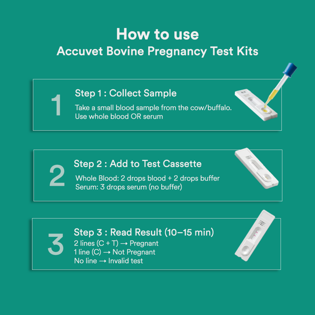 Accuvet Bovine Pregnancy Test Kit for Cows | Accurate Results from Day 30