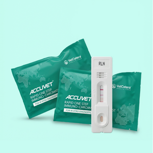 Dog Pregnancy Test Kits