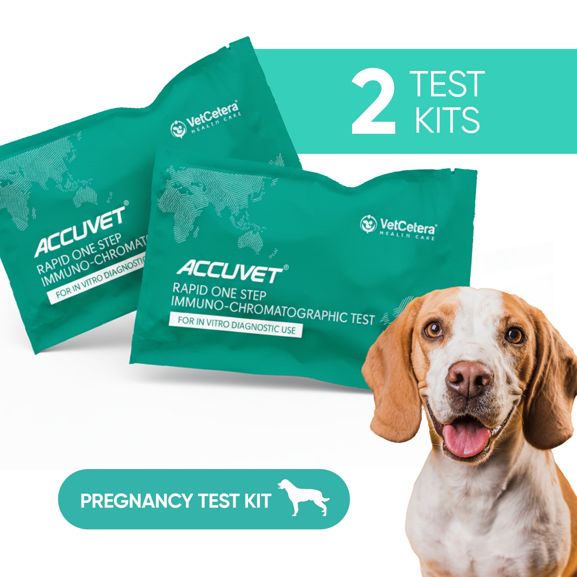 Accuvet Dog Pregnancy Test Kit | 2 Tests | Fast & Accurate Early Detection
