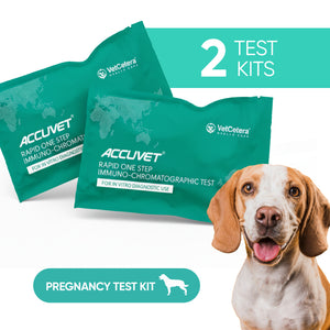 Dog Pregnancy Test Kits