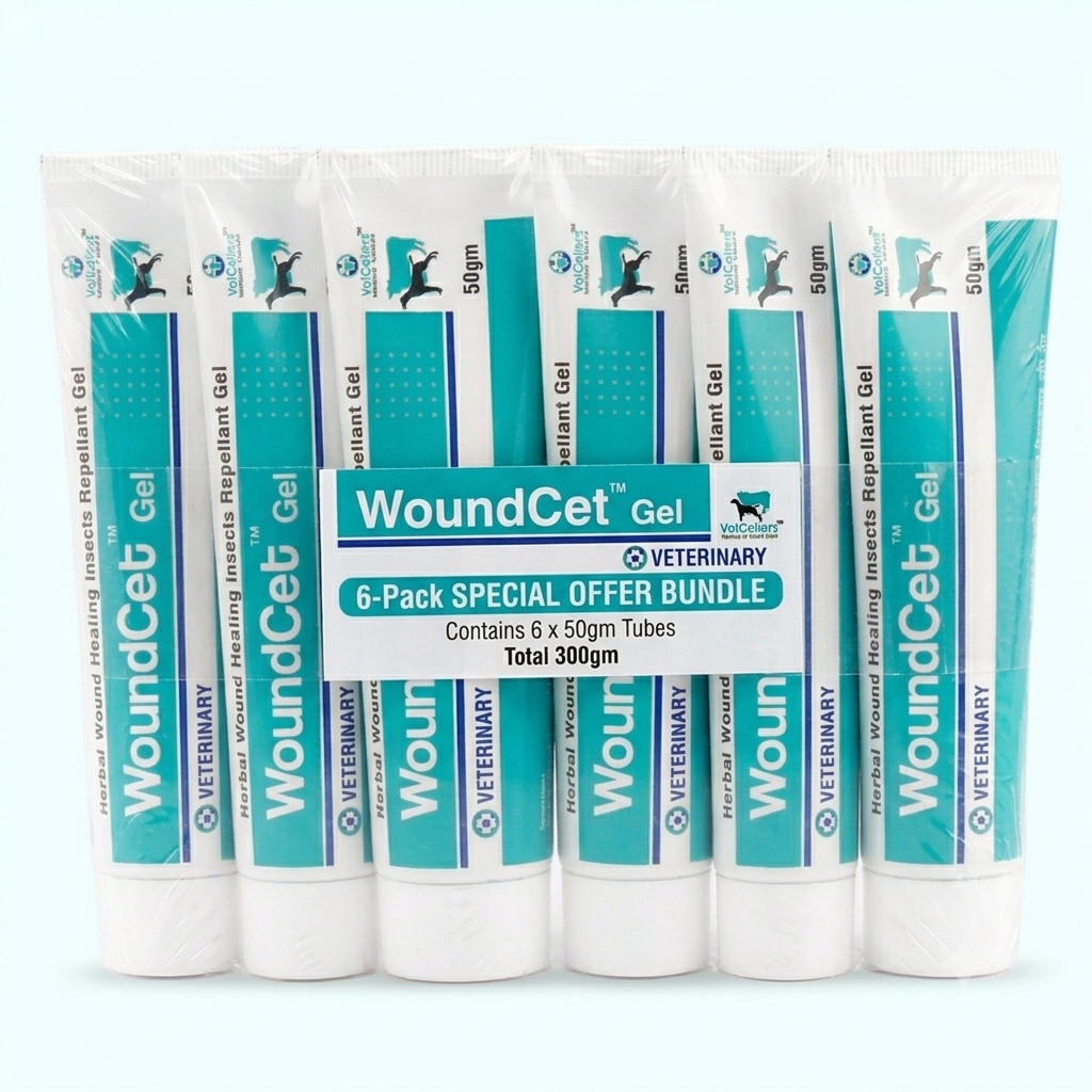 Woundcet | Herbal Wound Healing Gel 50g | Pack of 2
