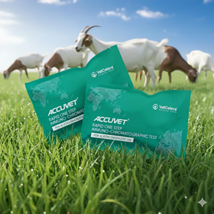 Goat Pregnancy Test Kit