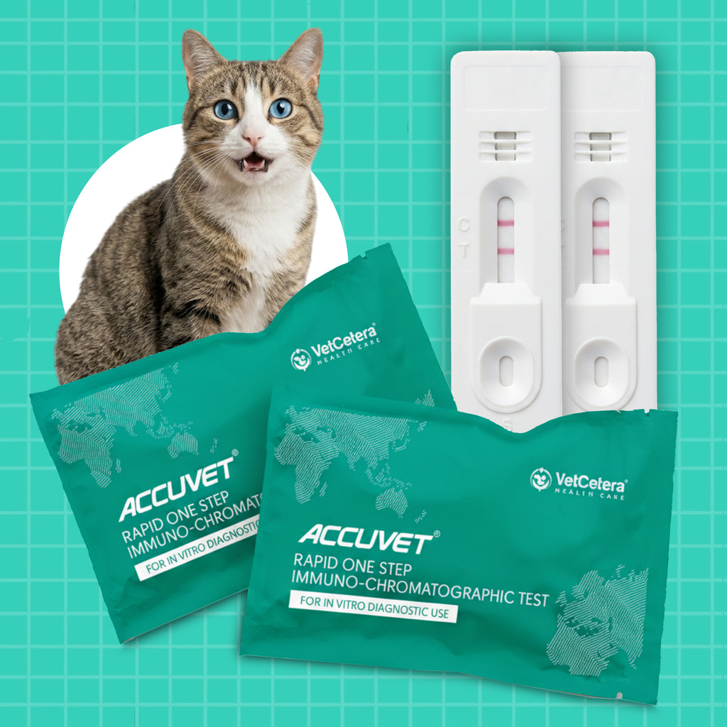 Feline Panleukopenia (Parvo) Virus Antigen Rapid Test | Accuvet FPV-Ag Kit