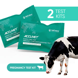 Accuvet Bovine Pregnancy Test Kits | 2 Tests | Rapid & Accurate Cow Pregnancy Detection Kits