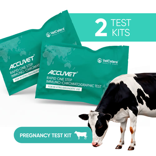 Accuvet Bovine Pregnancy Test Kit for Cows | Accurate Results from Day 30